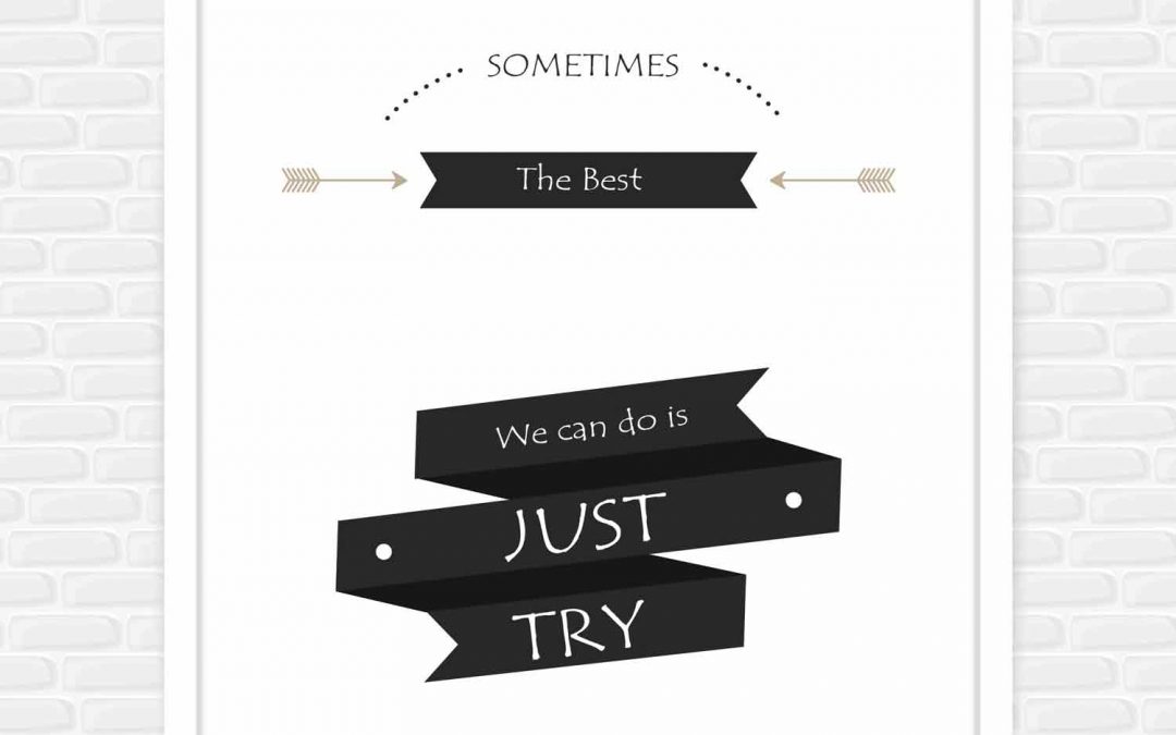 Sometimes the best we can do is just try.